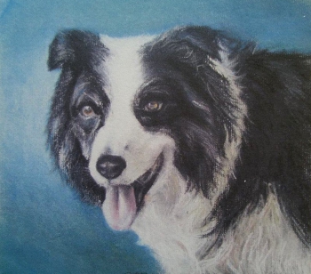 Barry - pastel (2013)