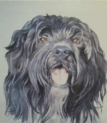 Happy doggy - aquarel en witte acryl (2013)