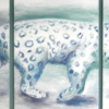 Sneeuwluipaard - drieluik in acryl, 200cm x 80cm (2017)