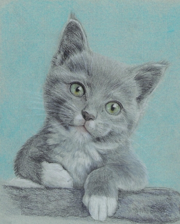 Dierenportret - kleurpotloden op grijs papier (20x 25, 2017)