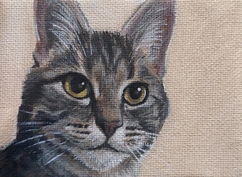 Kattenportret van Knox - acryl op klein doek, 7x10 cm (2018)