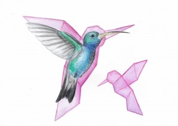 Kolibri en origami - aquarel en potlood op aquarelpapier, 24x32cm (2018)