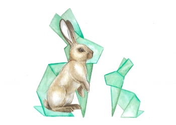 Konijn en origami - aquarel en potlood op aquarelpapier, 24x32cm (2018)
