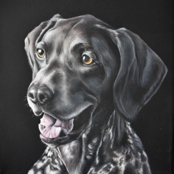 Portret Milo - acryl op doek, 30x30cm (2020)